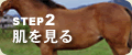�X�e�b�v�Q