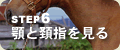 �X�e�b�v�U