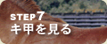 �X�e�b�v�V