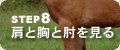 �X�e�b�v�W