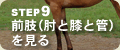 �X�e�b�v�X