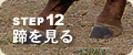 �X�e�b�v�P�Q