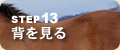 �X�e�b�v�P�R