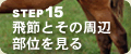�X�e�b�v�P�T