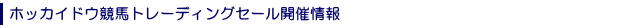 �z�b�J�C�h�E���n�g���[�f�B���O�Z�[���J�Ï��