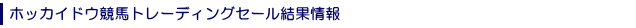 �z�b�J�C�h�E���n�g���[�f�B���O�Z�[�����ʏ��