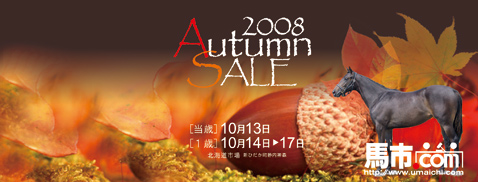 HBA�I�[�^���Z�[��2008���y�[�W