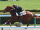 当場コンサイニング馬【マルタカタキオン号】がJRA4勝目!