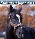 �퉲�nDVD�yStallions in Japan 2011�z�`Web�Ŕz�M�J�n�I