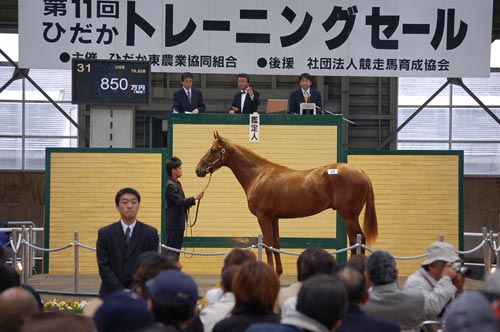 850万円 JBBA日本軽種馬協会様 ご購買ありがとうございました!