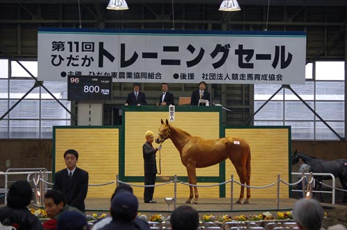 800万円 鳴戸雄一様 ご購買ありがとうございました!