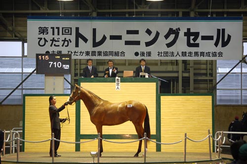 710万円 松浦牧場様 ご購買ありがとうございました!
