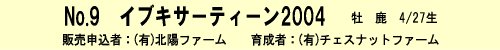 No.9-イブキサーティーン2004(byキンググローリアス)