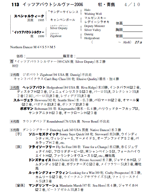 イッツアバウトシルヴァー2006(byスペシャルウィーク)