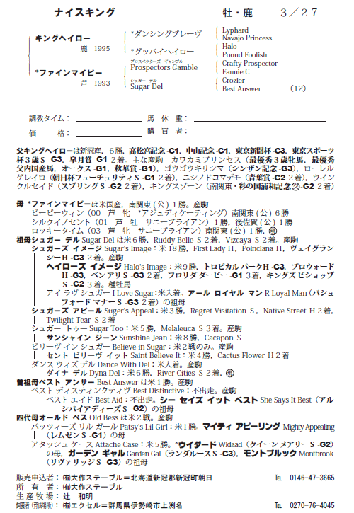 ナイスキング(ファインマイビー05、父キングヘイロー)