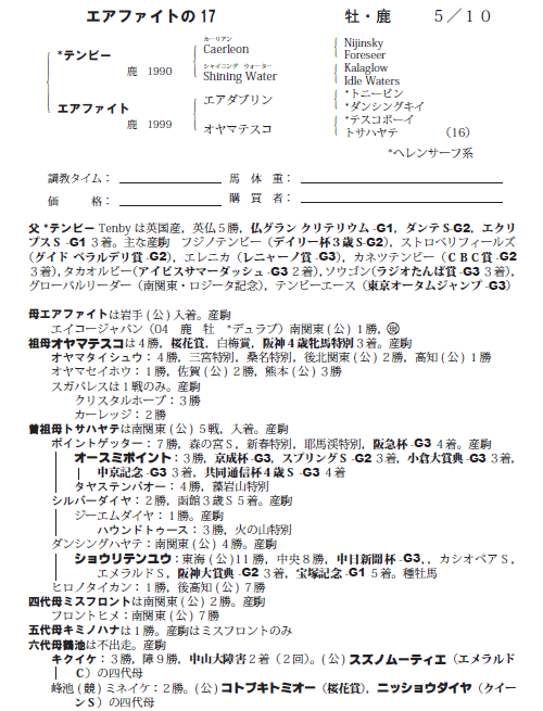エアファイトの17(父テンビー)