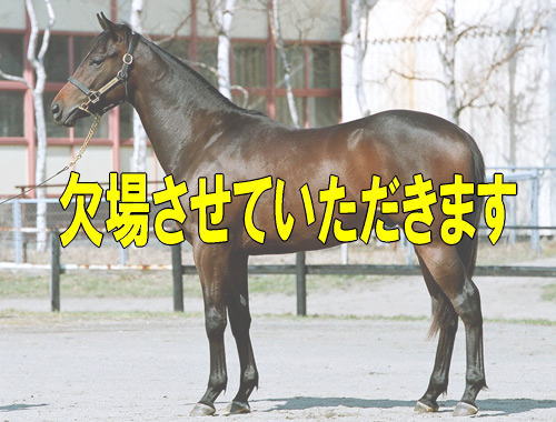 マキバサンダー05(父サンプレイス)