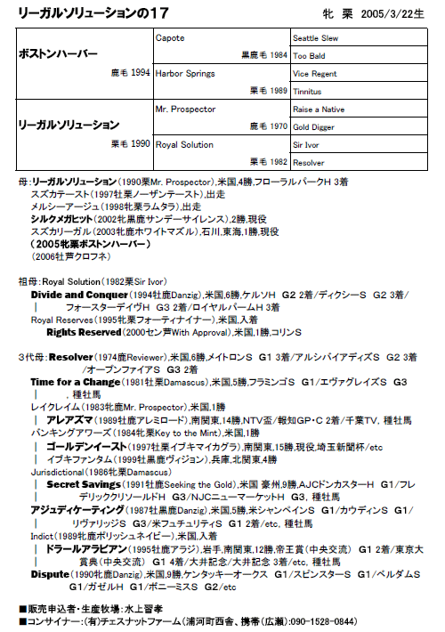 リーガルソリューションの17(父ボストンハーバー)