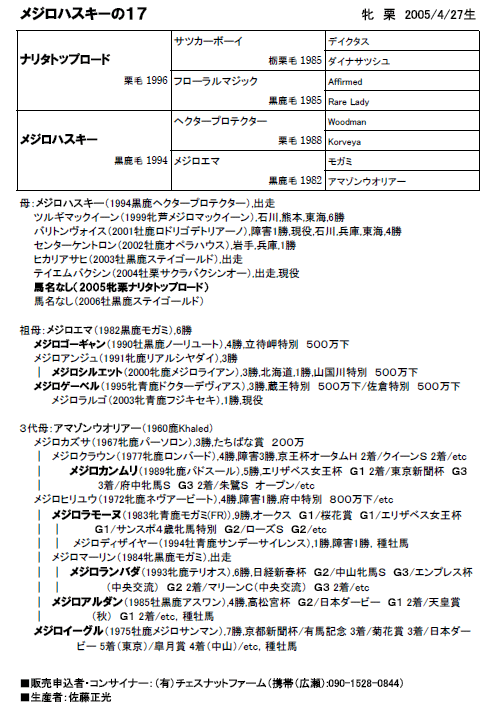 メジロハスキーの17(父ナリタトップロード)