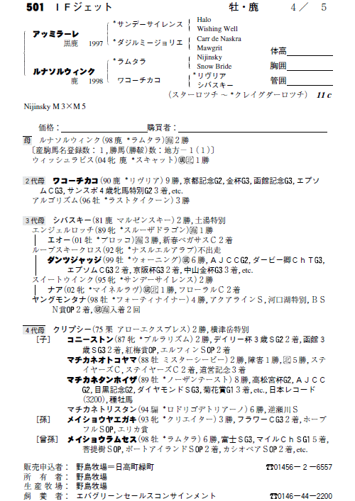 No.501�@�h�e�W�F�b�g